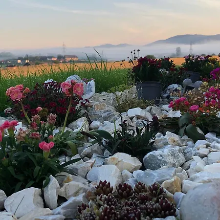 Gartenblick Apartment