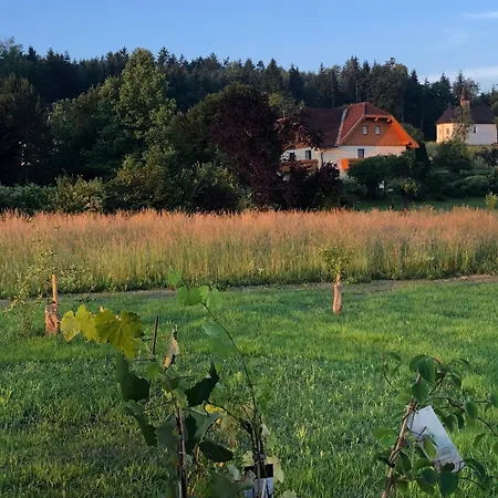 Gartenblick Klopein am Klopeiner See